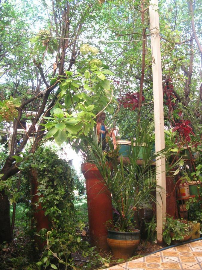 Secret Garden 2*