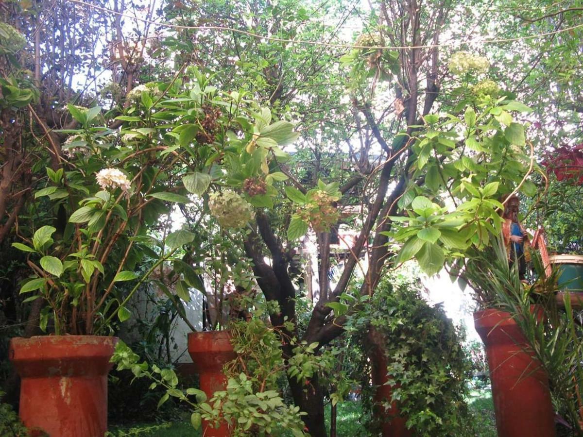 Bed and breakfast Secret Garden