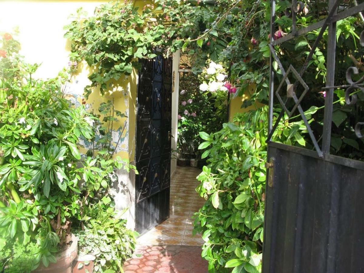 Secret Garden